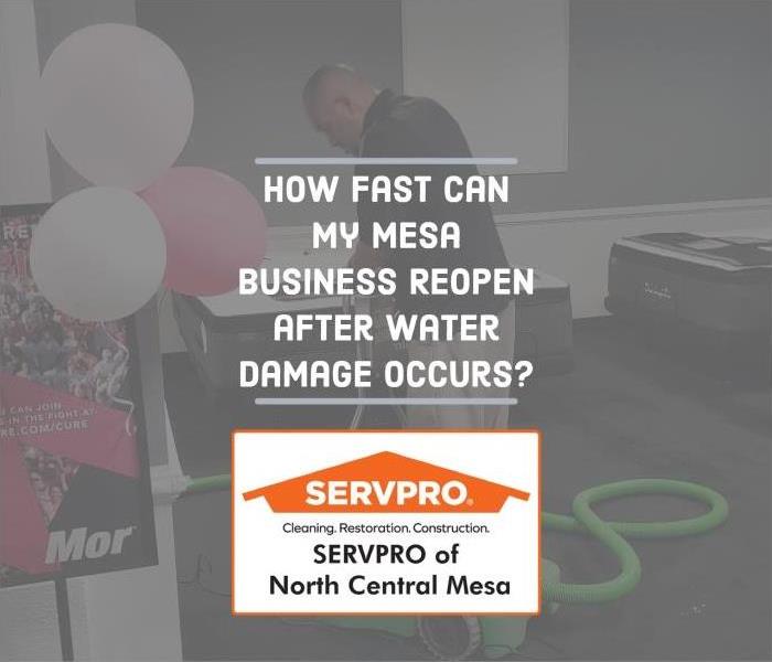 text: How fast can my Mesa business reopen after water damage occurs?"
