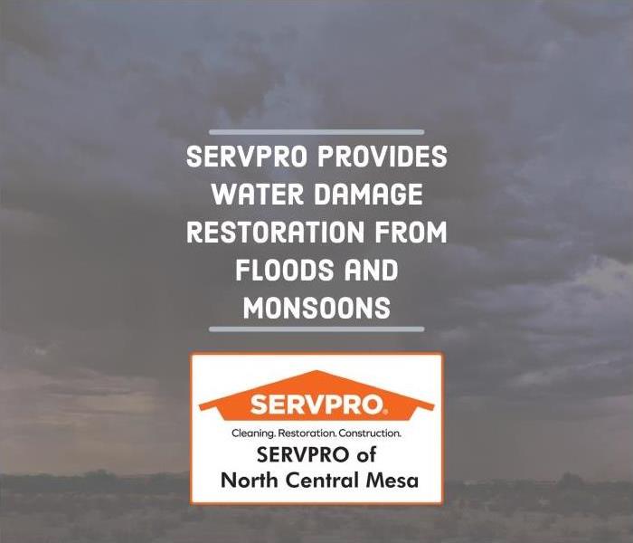 Text "Cleaning up your Mesa Property after a Flood or Monsoon"